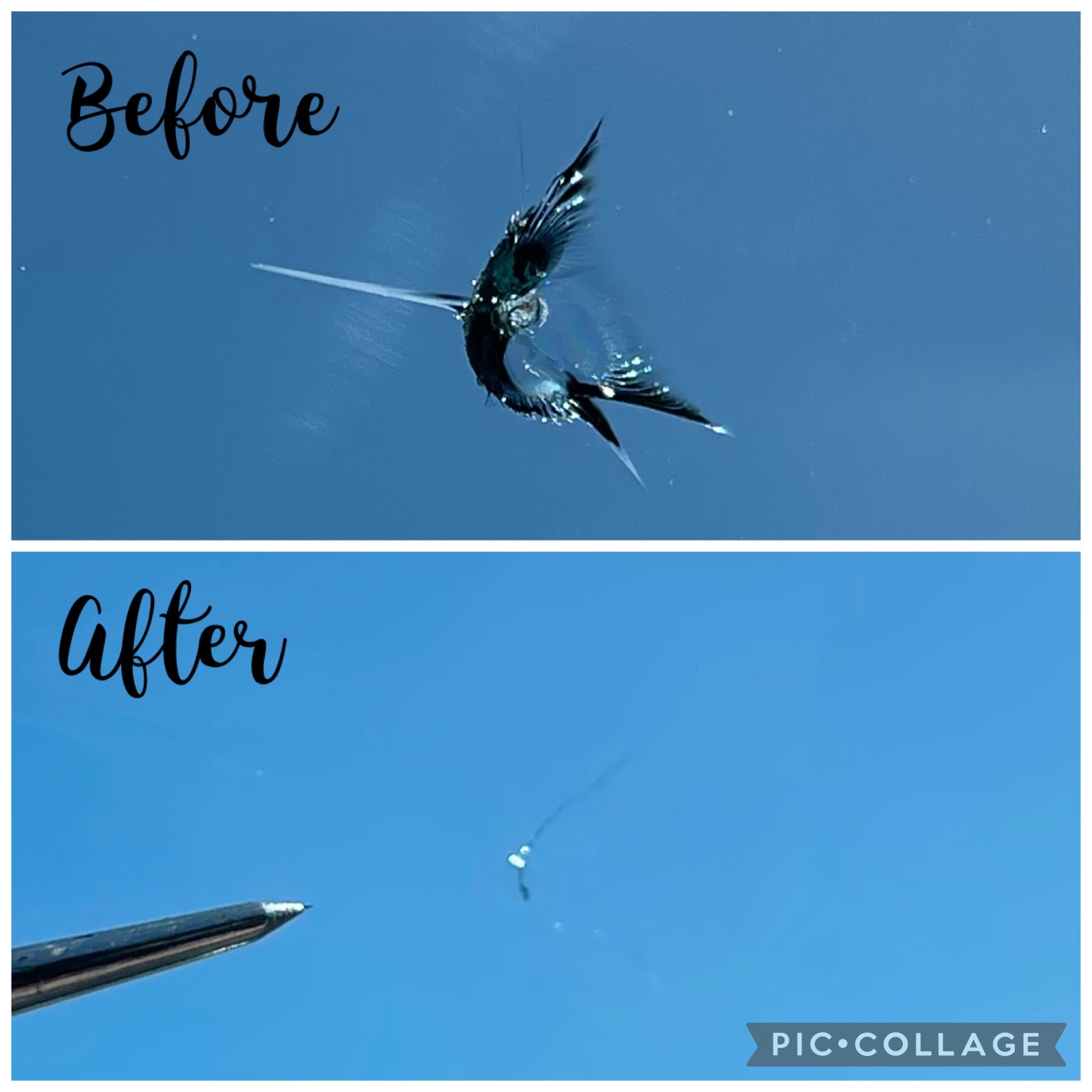 Chip in windshield before and after repair
